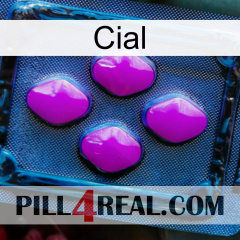 Cial 04